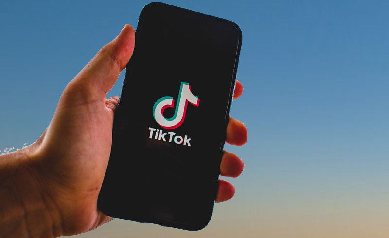 tiktok, tik tok, nature, app, smartphone, iphone, tik tok banned, screen, mobile, technology, sky, tik tok china, palm